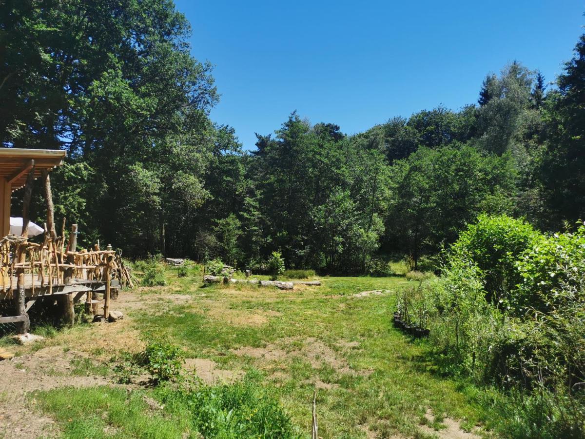 Gite Nature Au Pied Des Hetres Vitrac-sur-Montane Exterior foto